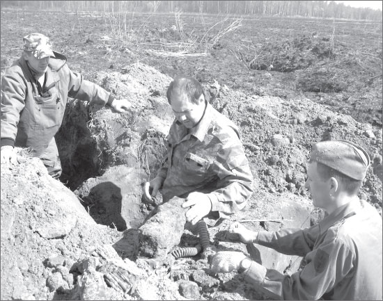 Иллюстрация к книге — Вокруг Петербурга. Заметки наблюдателя [i_128.jpg]