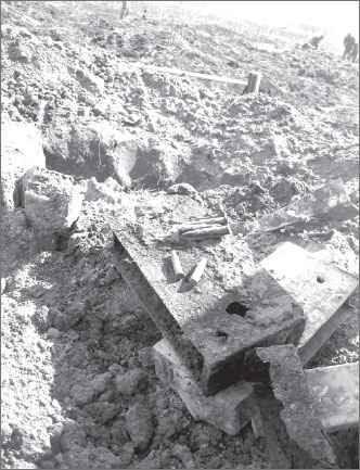 Иллюстрация к книге — Вокруг Петербурга. Заметки наблюдателя [i_130.jpg]