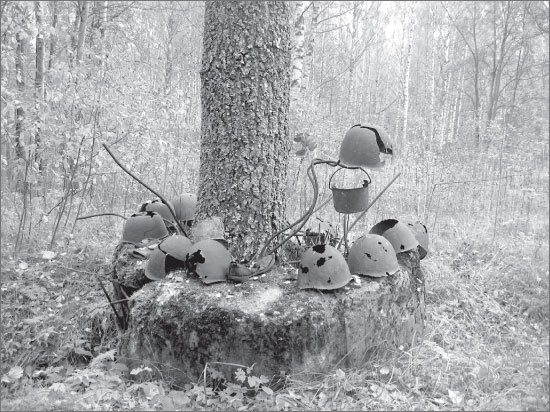 Иллюстрация к книге — Вокруг Петербурга. Заметки наблюдателя [i_137.jpg]