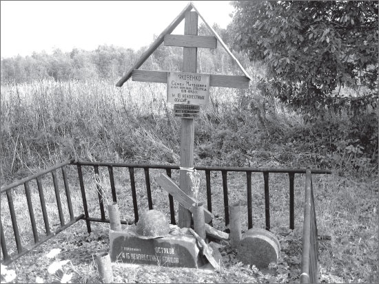 Иллюстрация к книге — Вокруг Петербурга. Заметки наблюдателя [i_141.jpg]