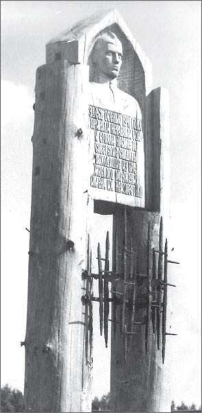 Иллюстрация к книге — Вокруг Петербурга. Заметки наблюдателя [i_150.jpg]