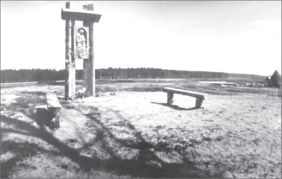 Иллюстрация к книге — Вокруг Петербурга. Заметки наблюдателя [i_154.jpg]