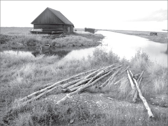 Иллюстрация к книге — Вокруг Петербурга. Заметки наблюдателя [i_169.jpg]