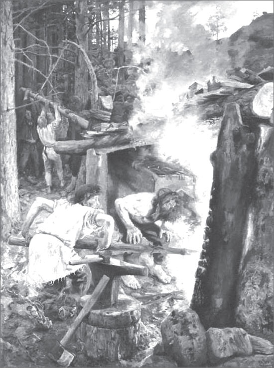 Иллюстрация к книге — Вокруг Петербурга. Заметки наблюдателя [i_172.jpg]