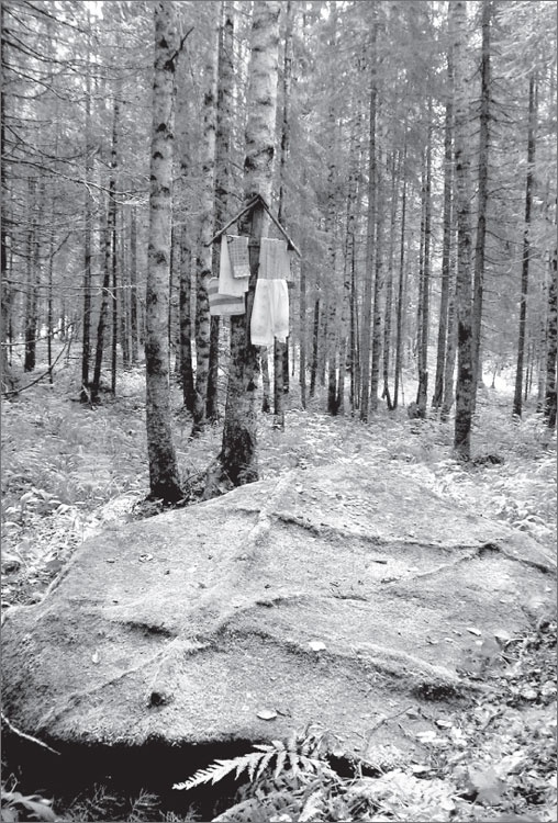 Иллюстрация к книге — Вокруг Петербурга. Заметки наблюдателя [i_173.jpg]