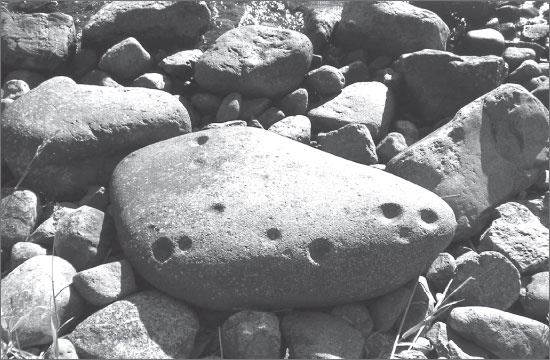 Иллюстрация к книге — Вокруг Петербурга. Заметки наблюдателя [i_174.jpg]