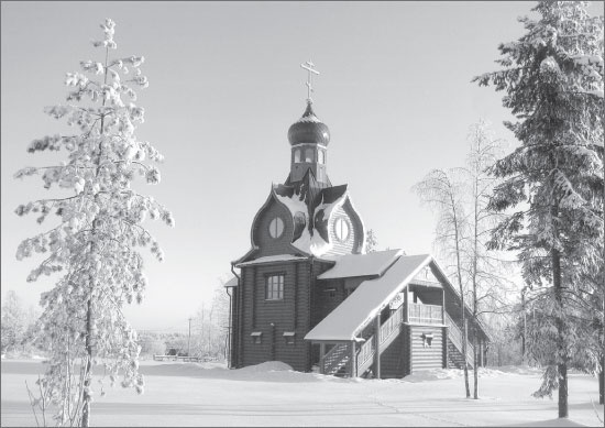 Иллюстрация к книге — Вокруг Петербурга. Заметки наблюдателя [i_175.jpg]