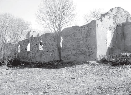 Иллюстрация к книге — Вокруг Петербурга. Заметки наблюдателя [i_180.jpg]