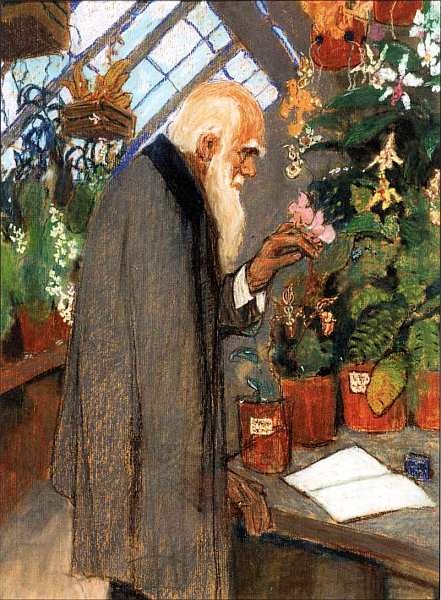 Иллюстрация к книге — Государственный Дарвиновский музей Москва [i_010.jpg]