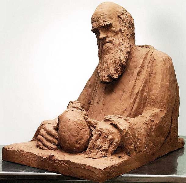 Иллюстрация к книге — Государственный Дарвиновский музей Москва [i_011.jpg]