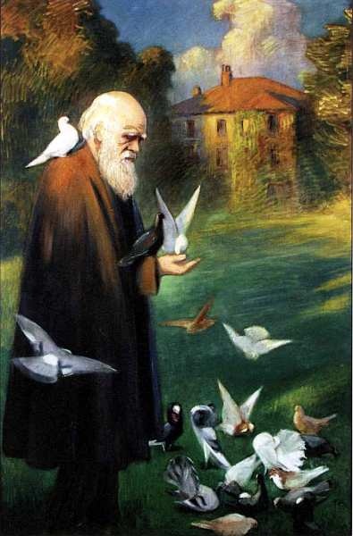 Иллюстрация к книге — Государственный Дарвиновский музей Москва [i_024.jpg]