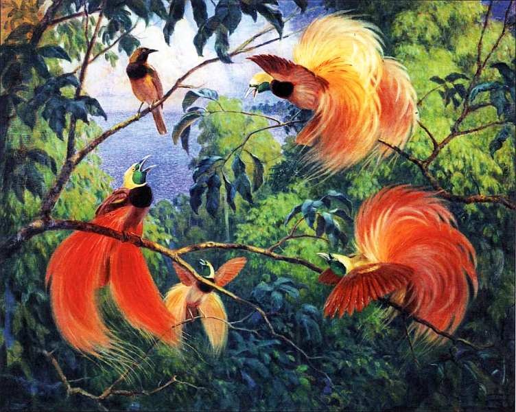 Иллюстрация к книге — Государственный Дарвиновский музей Москва [i_036.jpg]