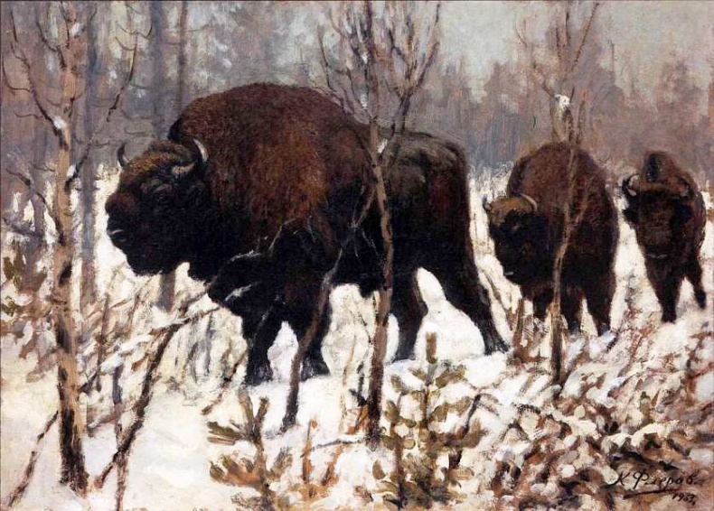 Иллюстрация к книге — Государственный Дарвиновский музей Москва [i_040.jpg]