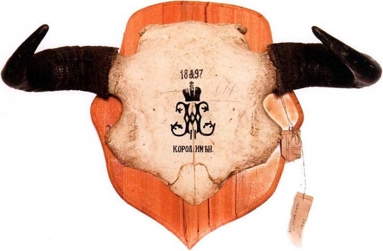 Иллюстрация к книге — Государственный Дарвиновский музей Москва [i_041.jpg]