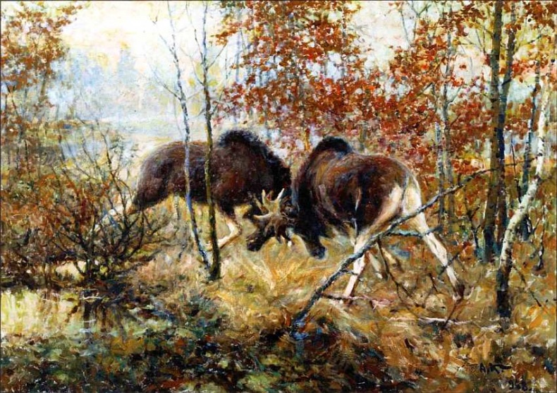 Иллюстрация к книге — Государственный Дарвиновский музей Москва [i_042.jpg]