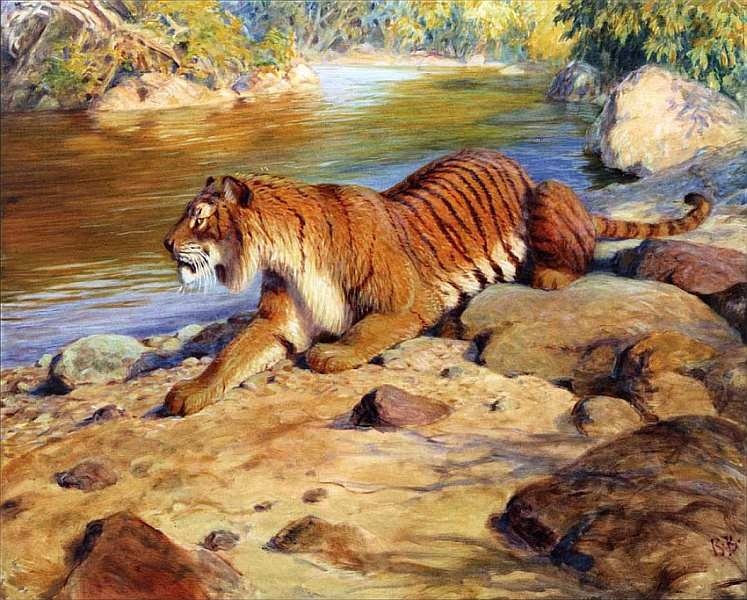 Иллюстрация к книге — Государственный Дарвиновский музей Москва [i_044.jpg]