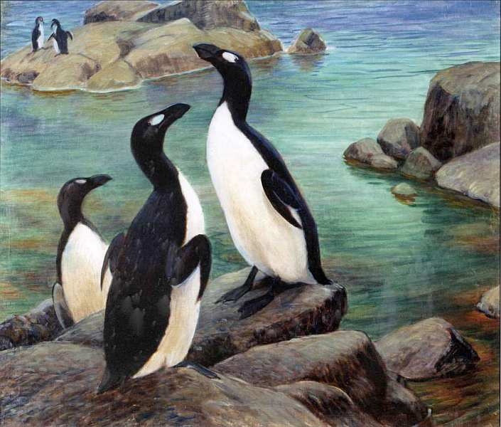 Иллюстрация к книге — Государственный Дарвиновский музей Москва [i_067.jpg]