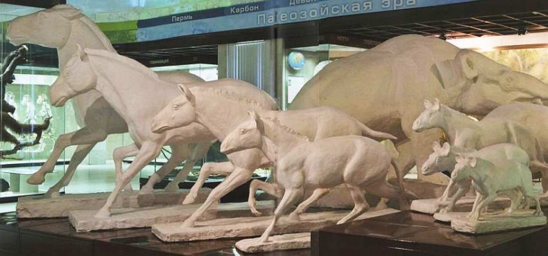 Иллюстрация к книге — Государственный Дарвиновский музей Москва [i_069.jpg]