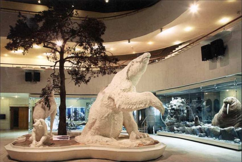 Иллюстрация к книге — Государственный Дарвиновский музей Москва [i_070.jpg]