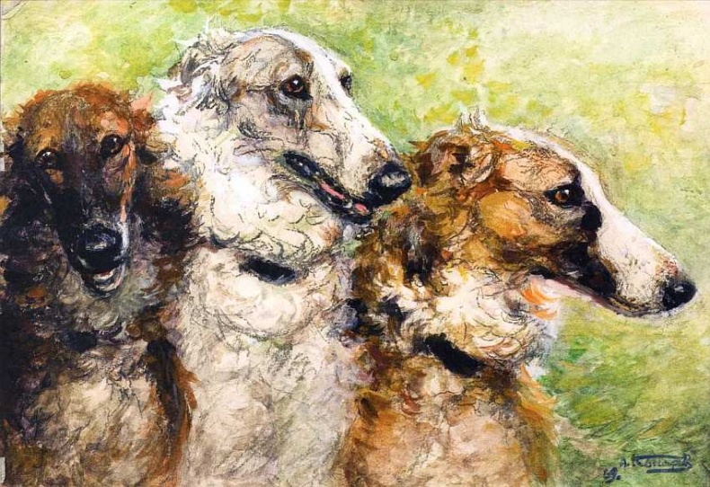 Иллюстрация к книге — Государственный Дарвиновский музей Москва [i_072.jpg]