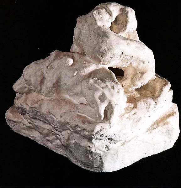 Иллюстрация к книге — Государственный Дарвиновский музей Москва [i_073.jpg]