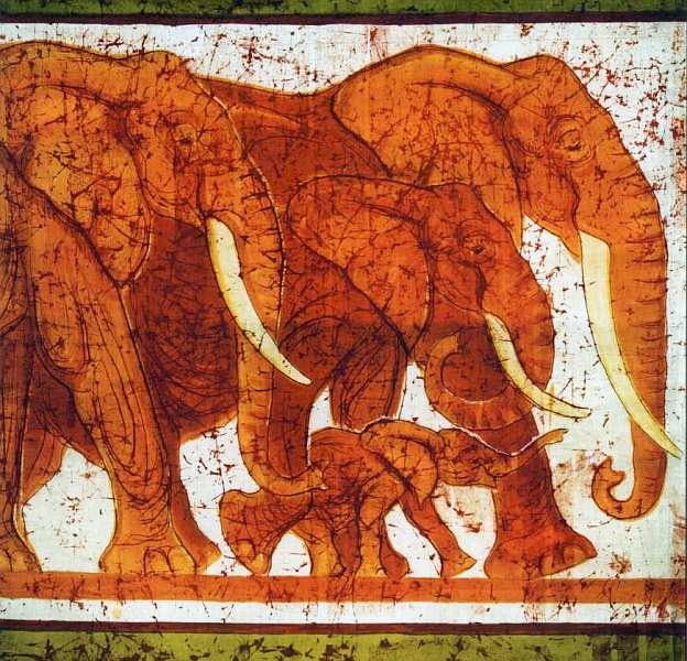 Иллюстрация к книге — Государственный Дарвиновский музей Москва [i_085.jpg]