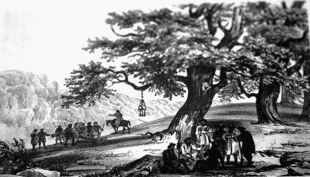 Иллюстрация к книге — Сочи. Олимпийская Ривьера России [i_011.jpg]