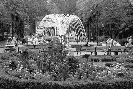 Иллюстрация к книге — Сочи. Олимпийская Ривьера России [i_042.jpg]