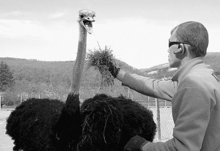 Иллюстрация к книге — Сочи. Олимпийская Ривьера России [i_074.jpg]