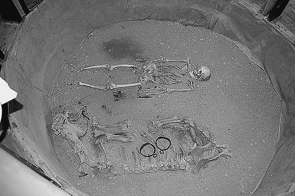 Иллюстрация к книге — Алтай. Жемчужина и сердце Евразии [i_011.jpg]