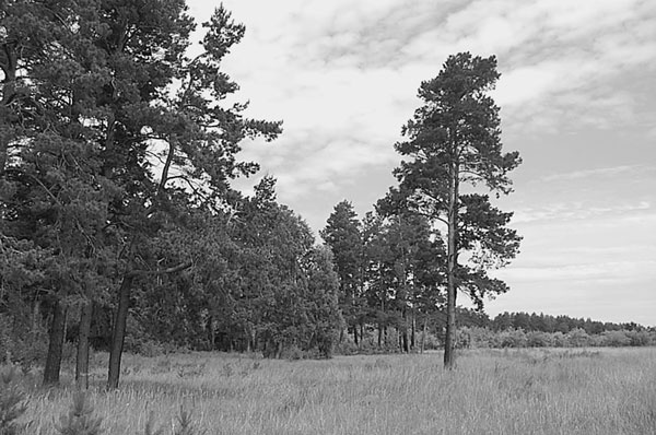 Иллюстрация к книге — Алтай. Жемчужина и сердце Евразии [i_014.jpg]