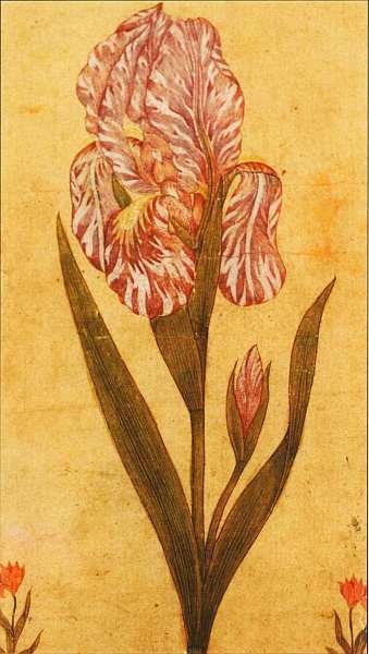 Иллюстрация к книге — Музей Виктории и Альберта Лондон [i_079.jpg]