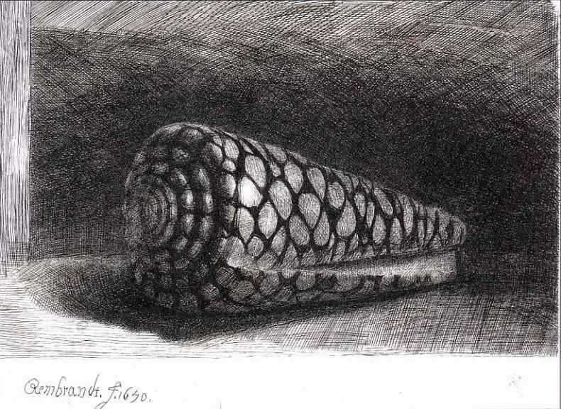 Иллюстрация к книге — Британский музей [i_063.jpg]