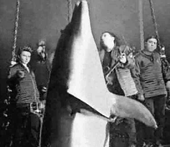 Иллюстрация к книге — «Агата Кристи». Чёрные сказки белой зимы [i_120.jpg]