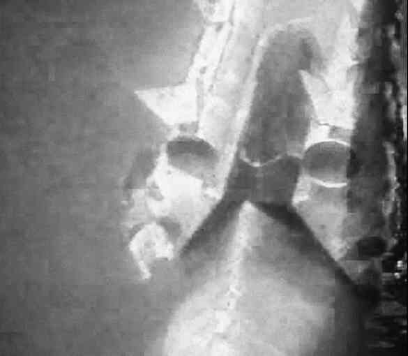 Иллюстрация к книге — «Агата Кристи». Чёрные сказки белой зимы [i_121.jpg]