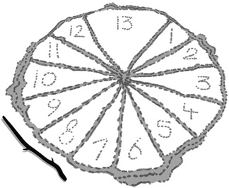 Иллюстрация к книге — Арена 13. Жертва [i_001.jpg]