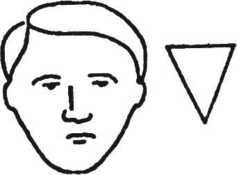 Иллюстрация к книге — Как читать человека. Черты лица, жесты, позы, мимика [i_011.jpg]