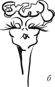 Иллюстрация к книге — Как читать человека. Черты лица, жесты, позы, мимика [i_041.jpg]