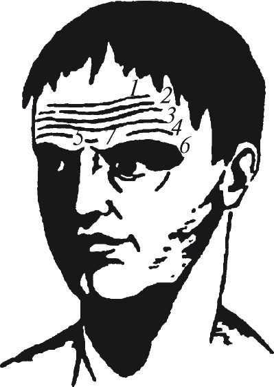 Иллюстрация к книге — Как читать человека. Черты лица, жесты, позы, мимика [i_063.jpg]