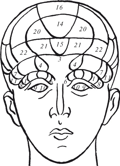 Иллюстрация к книге — Как читать человека. Черты лица, жесты, позы, мимика [i_068.jpg]