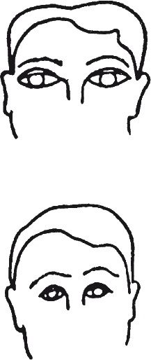 Иллюстрация к книге — Как читать человека. Черты лица, жесты, позы, мимика [i_074.jpg]