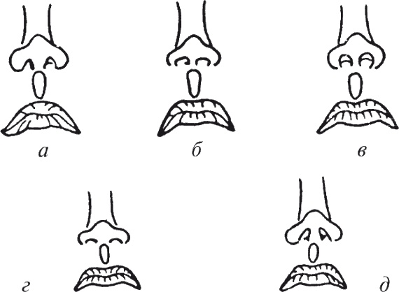 Иллюстрация к книге — Как читать человека. Черты лица, жесты, позы, мимика [i_091.jpg]