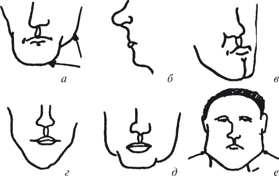 Иллюстрация к книге — Как читать человека. Черты лица, жесты, позы, мимика [i_110.jpg]