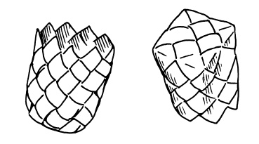 Иллюстрация к книге — Плетение из бумажных лент [i_092.jpg]