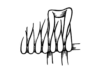 Иллюстрация к книге — Плетение из бумажных лент [i_121.jpg]