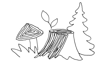 Иллюстрация к книге — Плетение из бумажных лент [i_152.jpg]