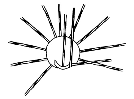 Иллюстрация к книге — Плетение из бумажных лент [i_165.jpg]