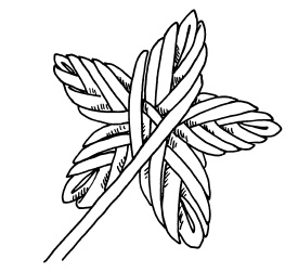 Иллюстрация к книге — Плетение из бумажных лент [i_192.jpg]