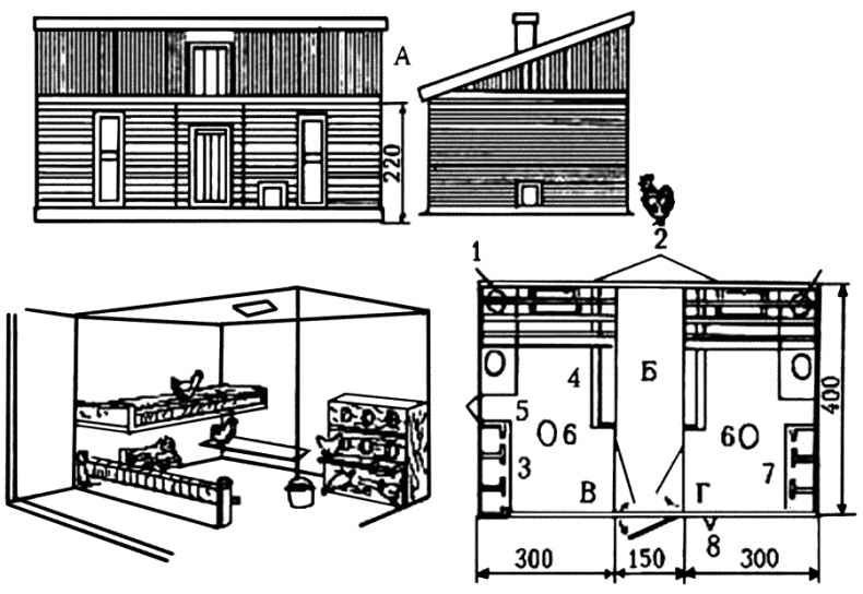 Иллюстрация к книге — Разведение и выращивание кур обычных пород и бройлеров [i_005.jpg]