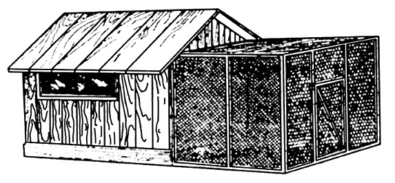 Иллюстрация к книге — Разведение и выращивание индюков, перепелок и цесарок [i_009.jpg]